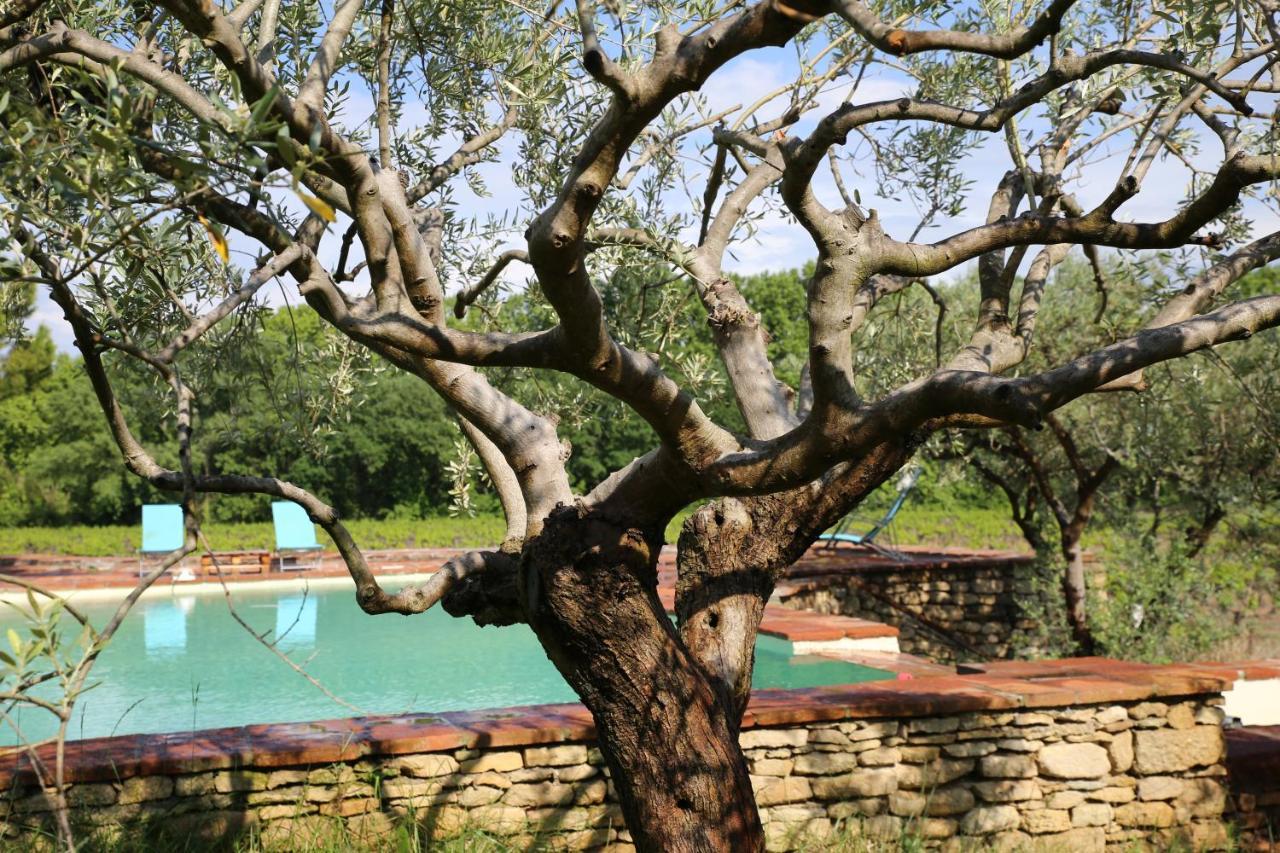 Gite Des Amis Domaine De Mas Caron Caromb Dış mekan fotoğraf