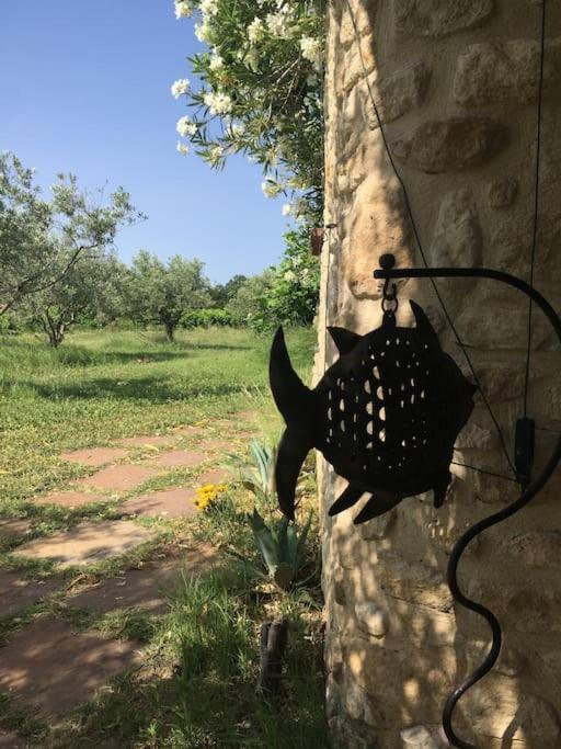 Gite Des Amis Domaine De Mas Caron Caromb Dış mekan fotoğraf