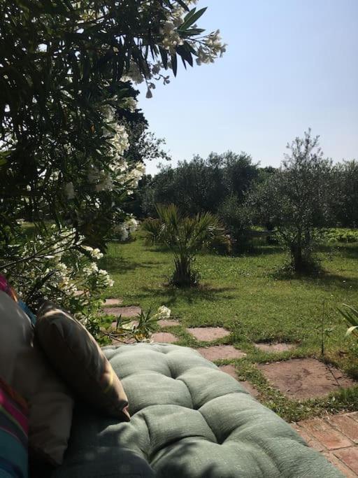 Gite Des Amis Domaine De Mas Caron Caromb Dış mekan fotoğraf