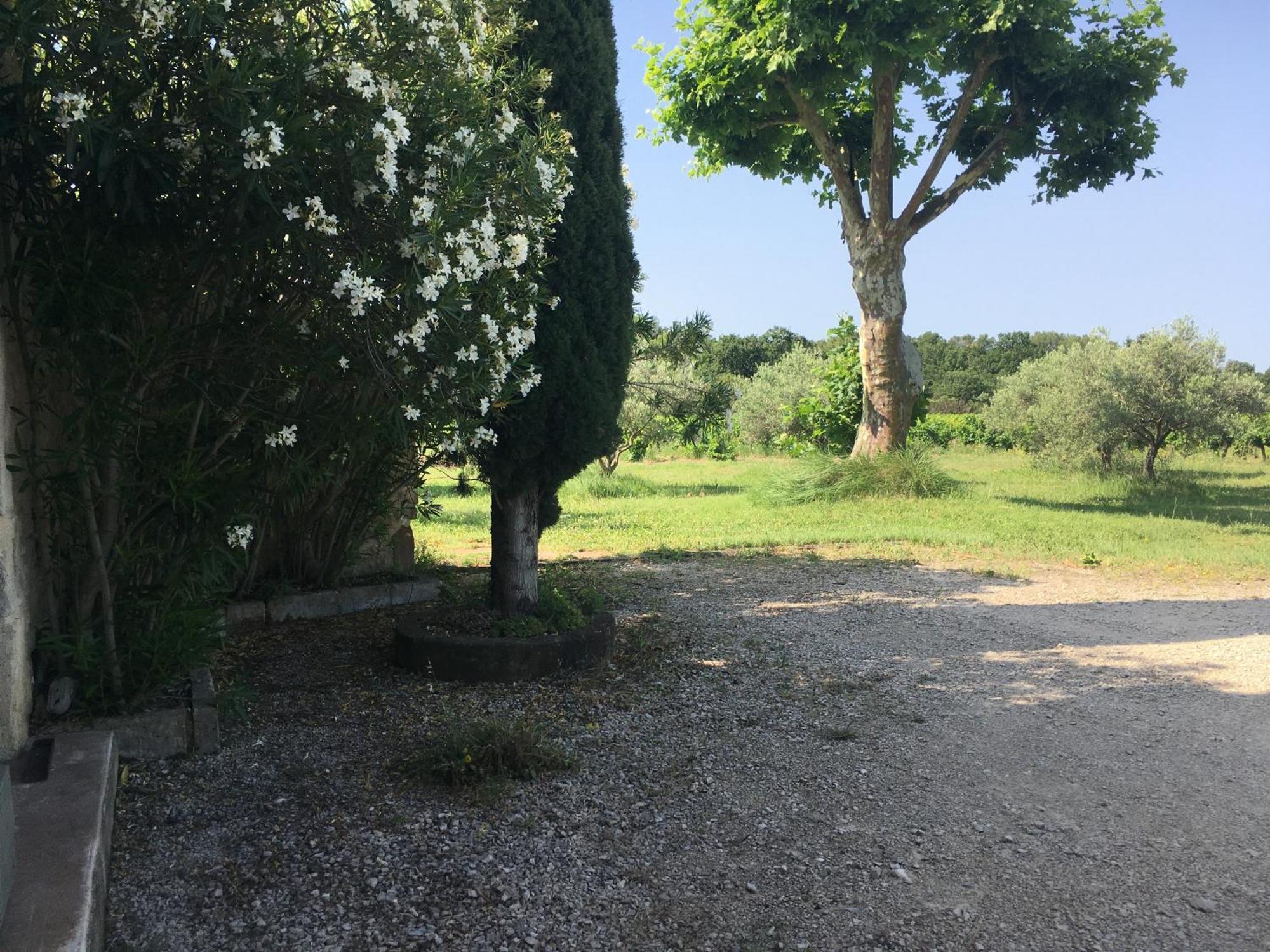Gite Des Amis Domaine De Mas Caron Caromb Dış mekan fotoğraf