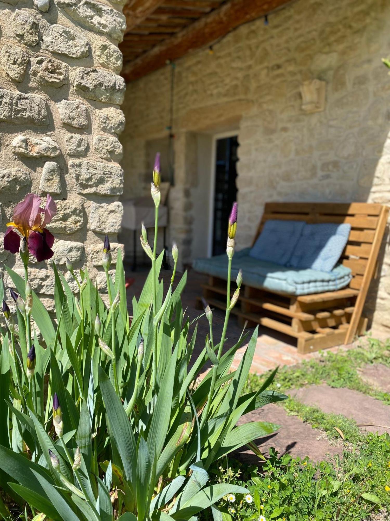 Gite Des Amis Domaine De Mas Caron Caromb Dış mekan fotoğraf